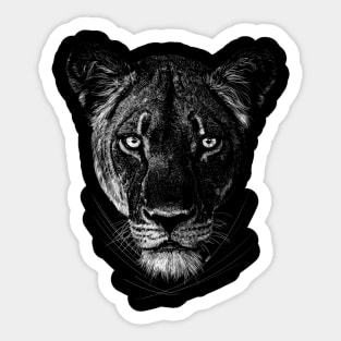 Lioness Sticker